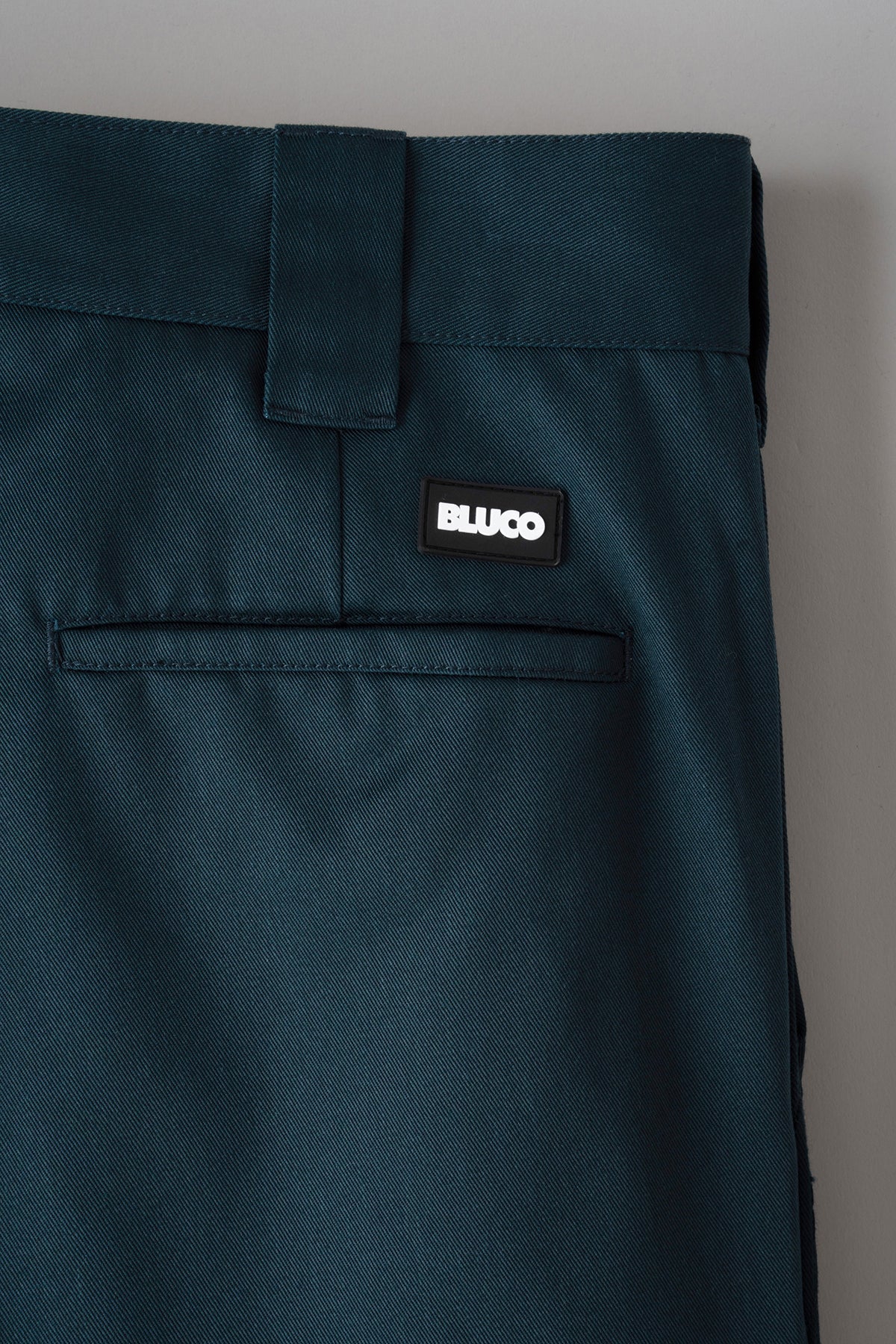 STANDARD WORK PANTS / BLUCO - 画像 (6)